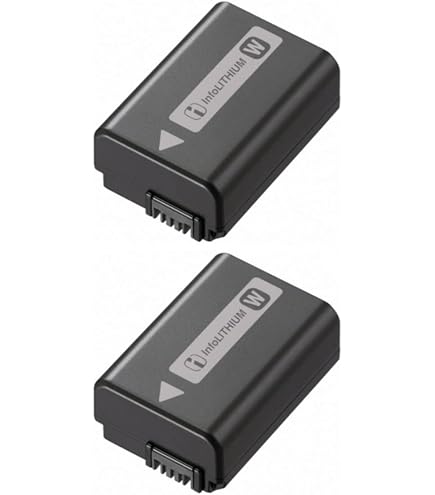 Amazon.com : BM Premium 2 NP-FW50 Batteries for Sony ZV-E10, A6100